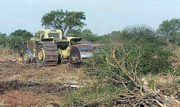 Photo of El Movimiento Campesino Córdoba denunció a la provincia por la aprobación de desmontes
