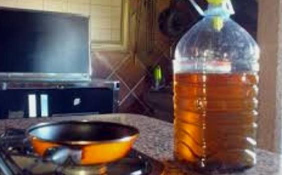 Photo of Balcarce: Visitas domiciliarias por Plan BIO