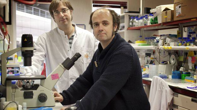 Photo of España perdió 12.500 investigadores en los últimos cuatro años