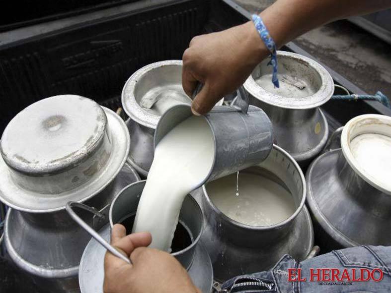 Photo of Pagan subsidios a 5.800 productores lecheros