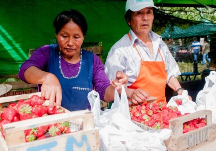 Photo of Varela: Se realizó con éxito la undécima Fiesta de la Frutilla