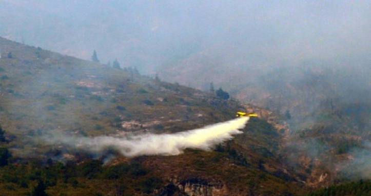 Photo of Voraz incendio en Parque Nacional Los Alerces