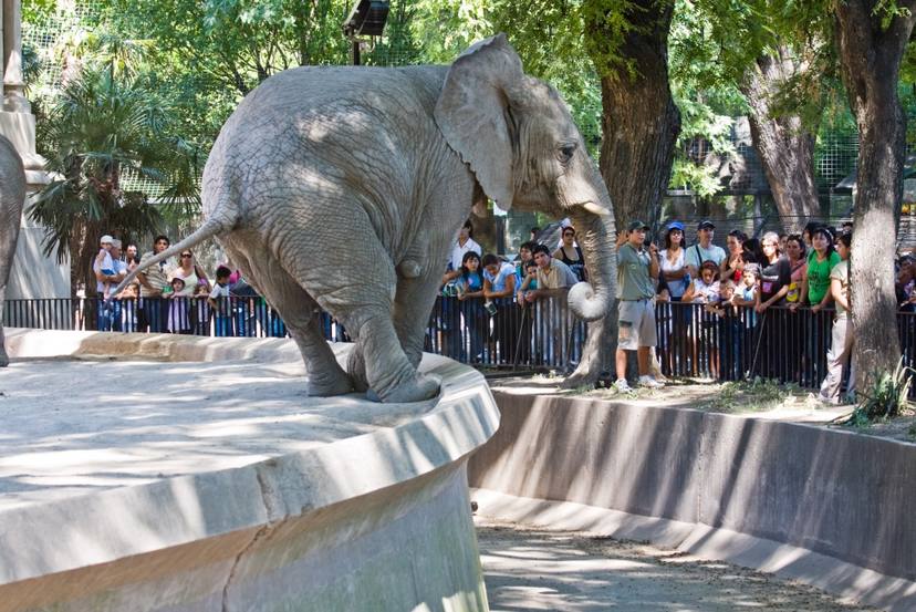 Photo of Deterioro y falta de inversión en el Zoo porteño
