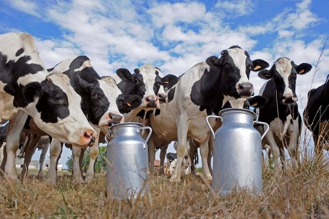 Photo of La Federación Agraria advierte sobre la situación de los productores de leche