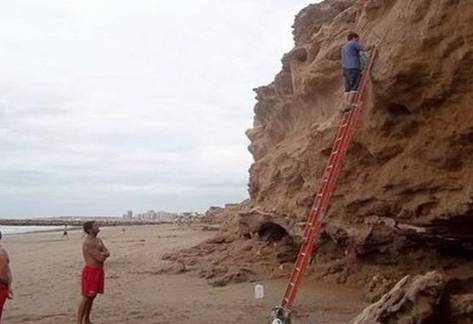 Photo of Guardavidas realizan otro histórico hallazgo paleontológico en Miramar
