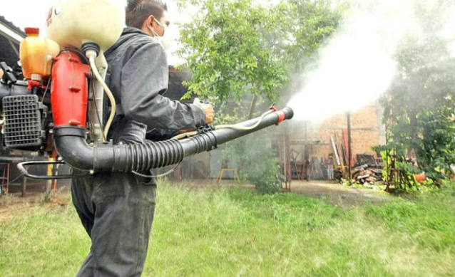 Photo of Lucha de los vecinos de Iguazú para eliminar al mosquito del dengue