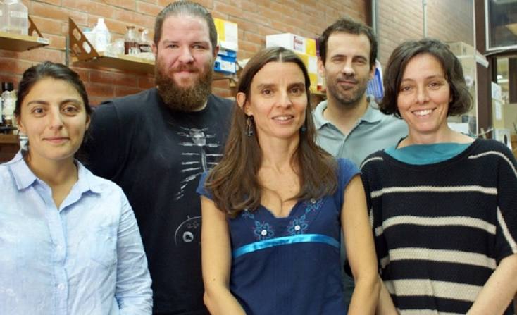 Photo of Científicos argentinos al frente de un avance clave en el desarrollo embrionario