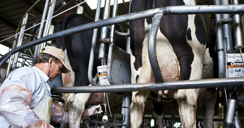 Photo of Los tamberos piden ayuda para salvar a sus pequeñas empresas