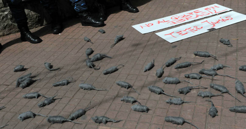 Photo of Recibieron a Temer con ratas de plástico en Olivos