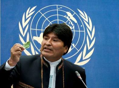 Photo of Evo Morales afirmó que la derecha no tiene «moral ni autoridad» para criticar cultivos de coca