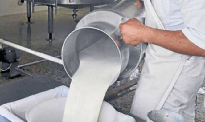 Photo of En Salta la producción y el consumo lácteos, cayeron casi un 30%