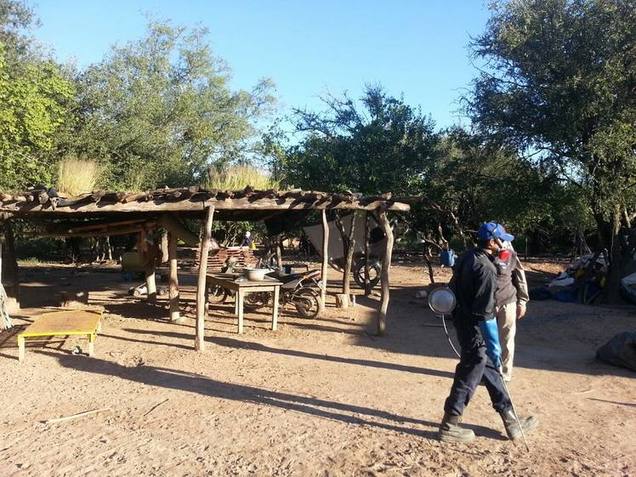 Photo of Chaco libre de chagas: Se efectuaron operativos en el Impenetrable