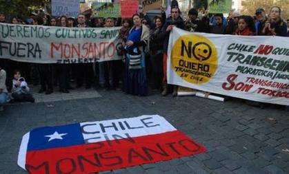Photo of Chile: V Marcha Mundial contra Monsanto este sàbado