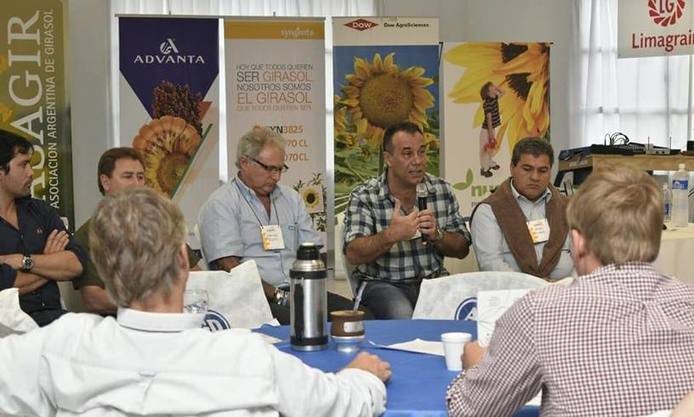 Photo of Chaco: El gobierno trabajará con productores para elevar la siembra de girasol