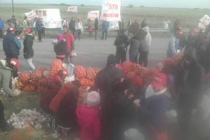Photo of Productores rurales realizaron un “cebollazo”  en la ruta 3 ante la crisis del sector