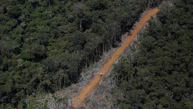 Photo of Justicia brasileña detiene extinción de reserva en la Amazonía