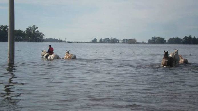 Photo of Desastre agropecuario: Más de veinte millones de hectáreas bajo el agua