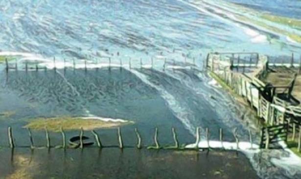 Photo of La producción agrícola de General Villegas se ve afectada tras las inundaciones