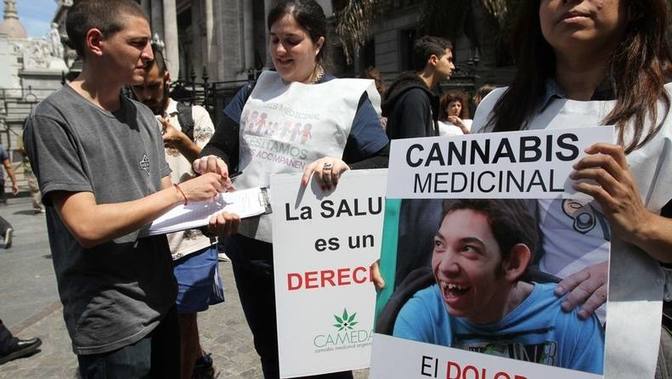 Photo of Diputados reclamó al Ejecutivo por la reglamentación de la ley de cannabis medicinal