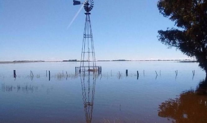 Photo of Declaran la emergencia agropecuaria en otros ocho distritos bonaerenses