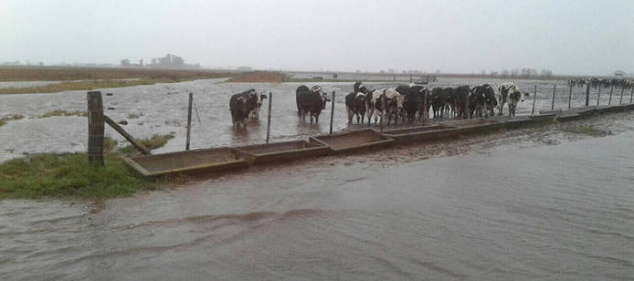 Photo of Fuerte mensaje de productores bonaerenses a María Eugenia Vidal