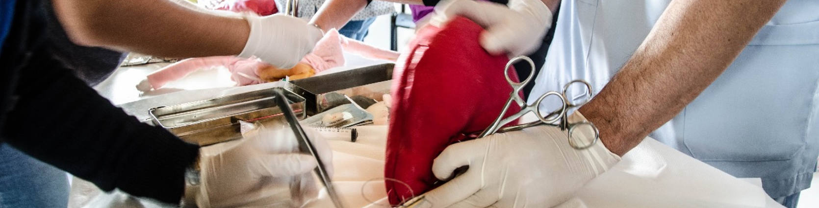 Photo of Pinamar: Jornada de Capacitación en el CIC de Valeria del Mar