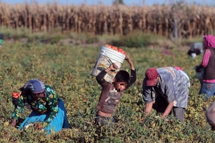 Photo of El trabajo esclavo emerge en el Brasil de Michel Temer