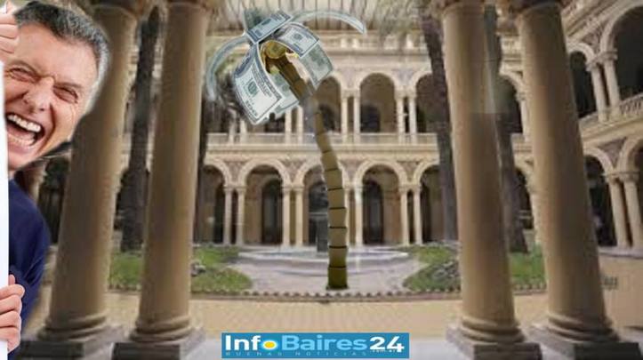 Photo of En medio del discurso de «austeridad» el Gobierno compró una palmera para la Casa Rosada por 235.950 pesos