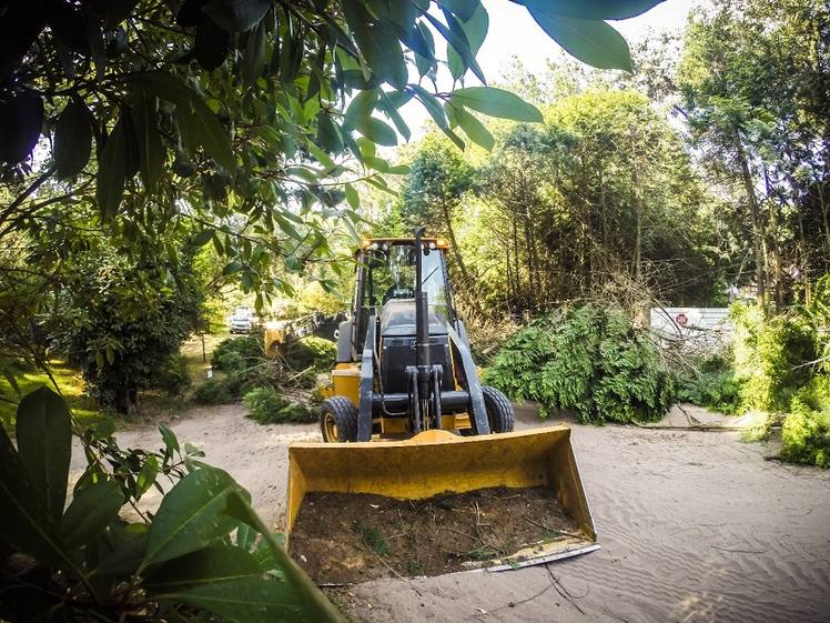 Photo of Trabajo coordinado en las calles de Cariló