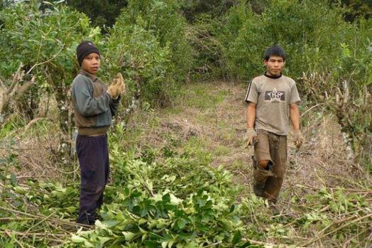 Photo of Macri: trabajo infantil en Misiones