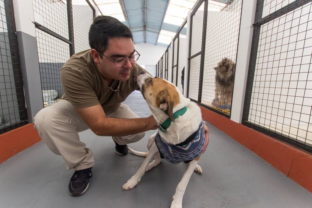 Photo of Pinamar: Promoviendo la inclusión desde el trabajo