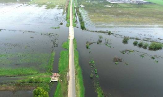 Photo of Rojas en alerta por la crecida del río