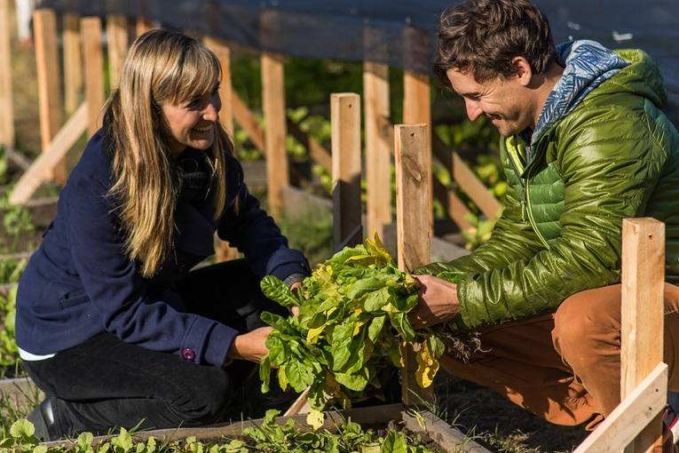 Photo of Pinamar: El Hospital tiene su Huerta