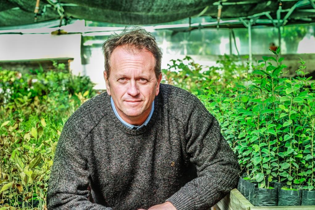 Photo of Pinamar: Entrega de arboles gratis en el vivero