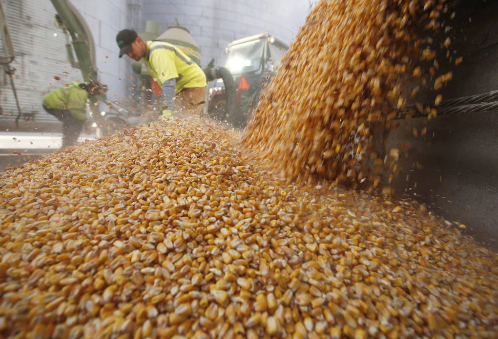 Photo of El gobierno subió las retenciones y en el campo comenzaron con el pataleo