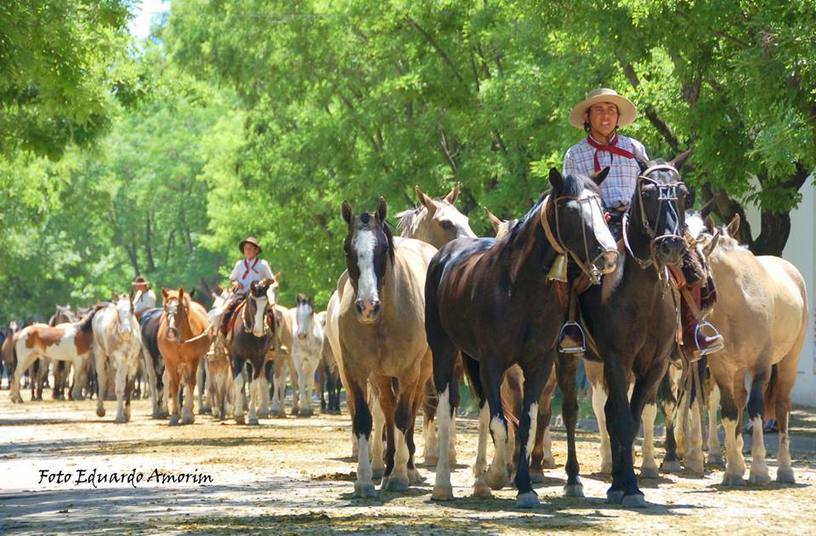 Photo of Actividades del fin de semana en San Antonio de Areco