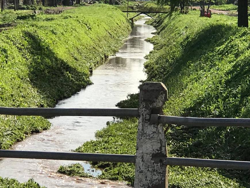 Photo of Florencio Varela: continúan las tareas de limpieza y desobstrucción tras el temporal