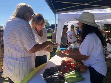 Photo of Florencia Saintout en la Fiesta del Tomate Platense: «El sector flori-fruti-hortícola está abandonado por el intendente»