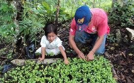 Photo of MILEI ELIMINÓ EL FONDO DE AYUDA A LA AGRICULTURA FAMILIAR