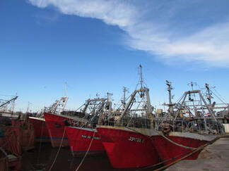 Photo of Pesca: El SOMU alcanzó el 50 por ciento anual en la paritaria con los fresqueros de altura