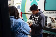 Photo of Florencio Varela: Campaña del servicio veterinario