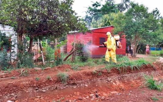 Photo of Subsecretario de Salud de Misiones por el dengue: «Estamos en alerta, pero esto no se asemeja con el 2016»