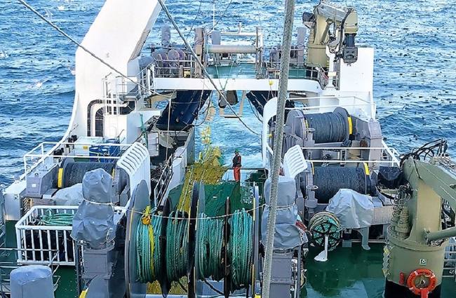 Photo of Saqueo británico: Por la pesca en Malvinas, se robaron 147 mil millones de dólares en regalías