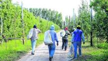 Photo of Caminantes rurales: viajan de la Patagonia a Salta sin nada