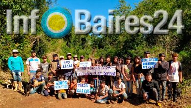 Photo of Talaron cientos de árboles de lugar sagrado de la Comunidad Ka’a Kupe de Campo Grande