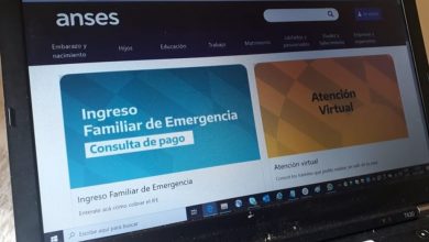 Photo of La ANSES presentó en la Justicia 156 denuncias de fraude por el IFE 