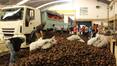 Photo of Distribuyen 90 mil kilos de papas entre movimientos sociales