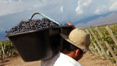 Photo of Salta: Programa Intercosecha para trabajadores rurales temporarios