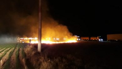 Photo of Santa Fe: piden indagatorias por quemas de pastizales en tres islas del Río Paraná