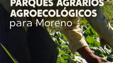 Photo of Moreno: Parques Agrarios Agroecológicos